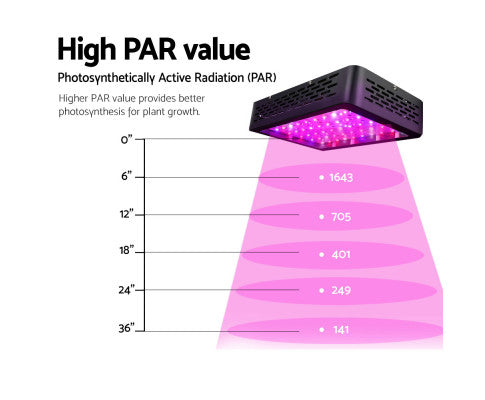 600W LED Grow Light Full Spectrum | Factory to Home